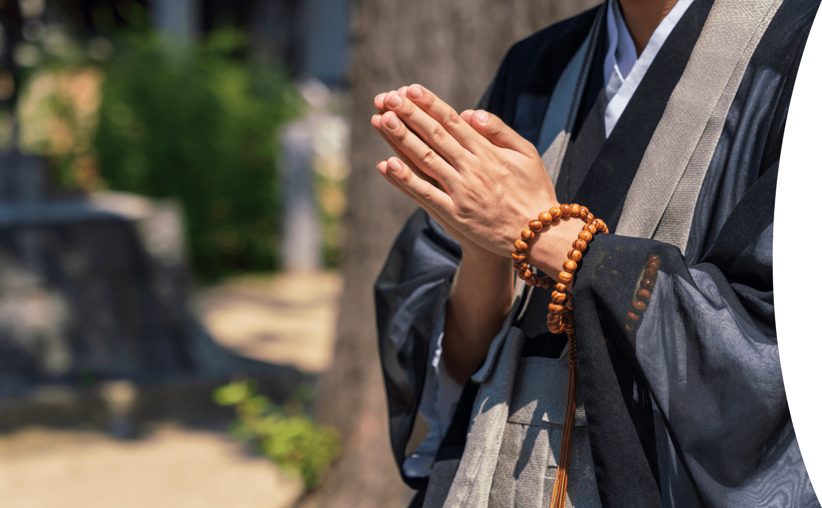 ファーストビュー