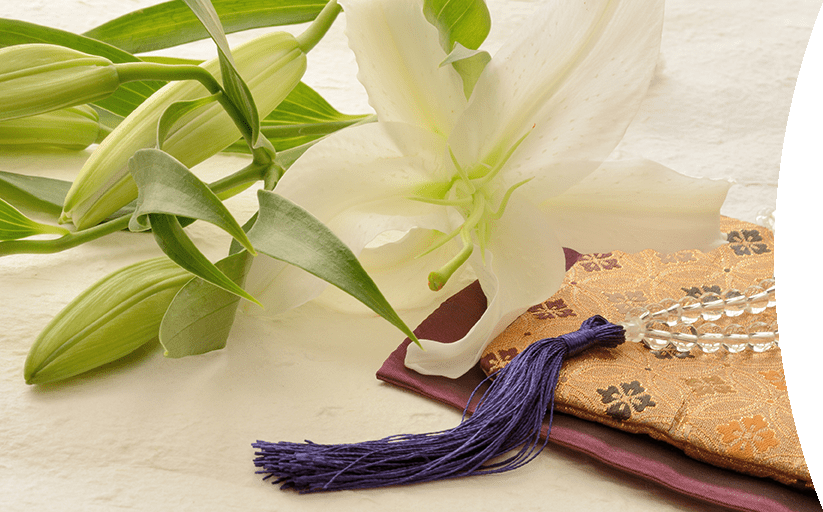 ファーストビュー