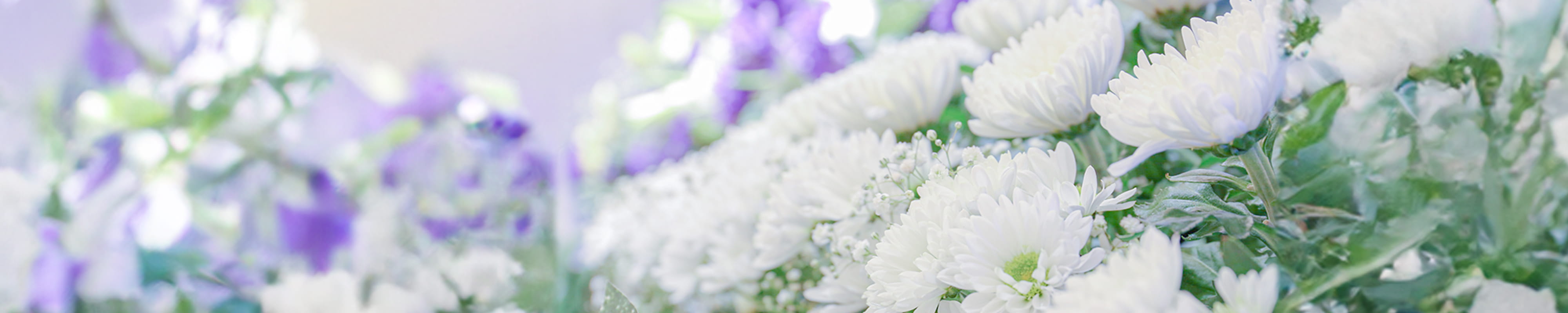 ファーストビュー