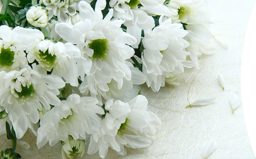 ファーストビュー